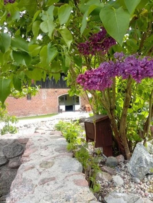 Folwark Tumiany Pokoje & Restauracja Dış mekan fotoğraf